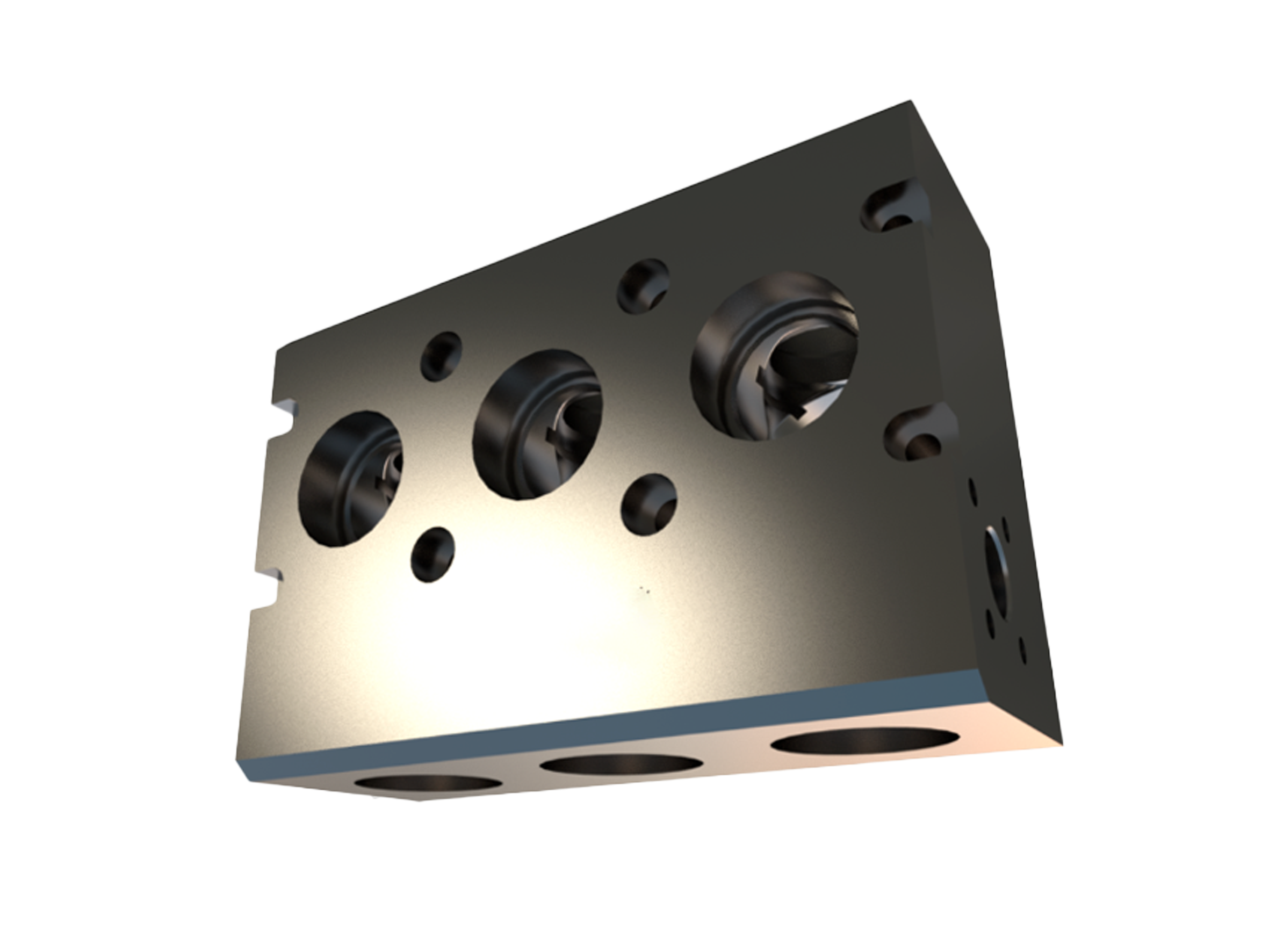 整体式锻造合金钢泵头体 (2)